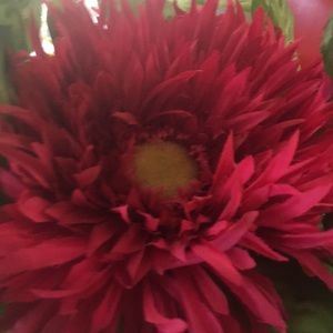 Meet your Posher, Becky